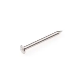 RVS spijkers bolkop 1.8 x 30 mm - 1 KG